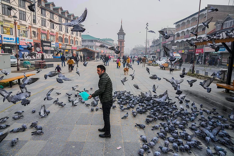 kashmir after abrogation of article 370 (representative image) - Associated Press