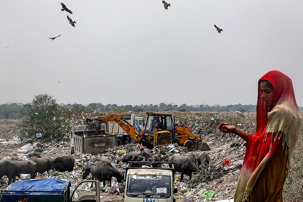 | Photo: PTI : Garbage dump yard in Jammu