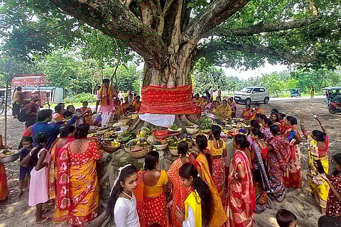 'Jamai Sasthi' celebrations in WB
