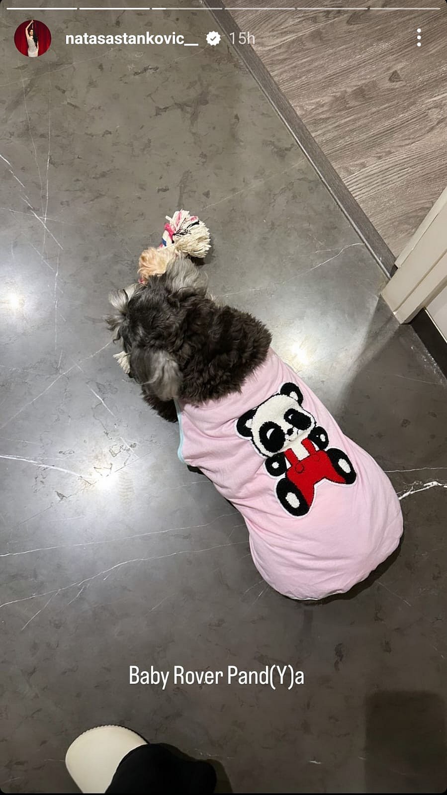 Natasa Stankovic’s Latest Post