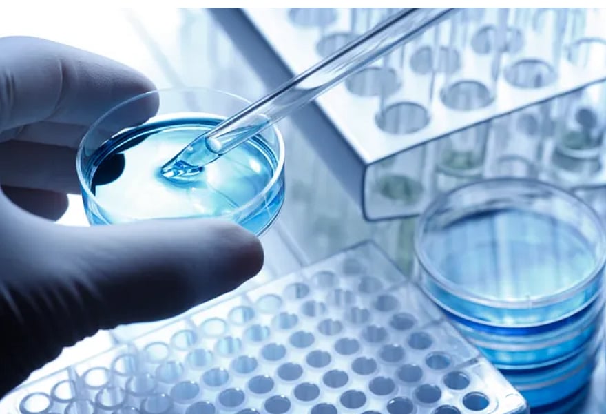 First Case Of Sexually Transmitted Rare Fungal Strain Reported In US - Getty Images