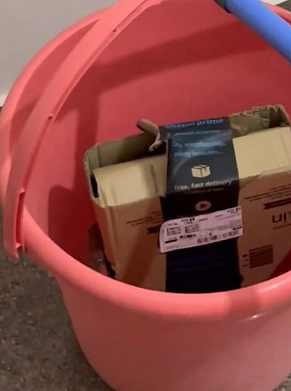 X/@Tanvxo
 : The woman said fortunately the snake was stuck to the packaging tape and did not harm anyone in their household or apartment