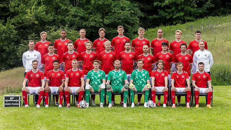 Czechia Vs Denmark LIVE Score, FIFA World Cup Play‑Offs: Czech Lions Face Danish Dynamite - Photo: X/ @dbulandshold