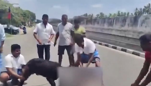 'I'm Here, Spare The Goat': TN BJP Chief Annamalai Tells DMK Over Viral Video Of 'Symbolic Beheading' 