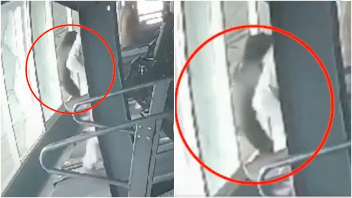 X/@CollinRugg : Screengrab from the gym's CCTV footage.