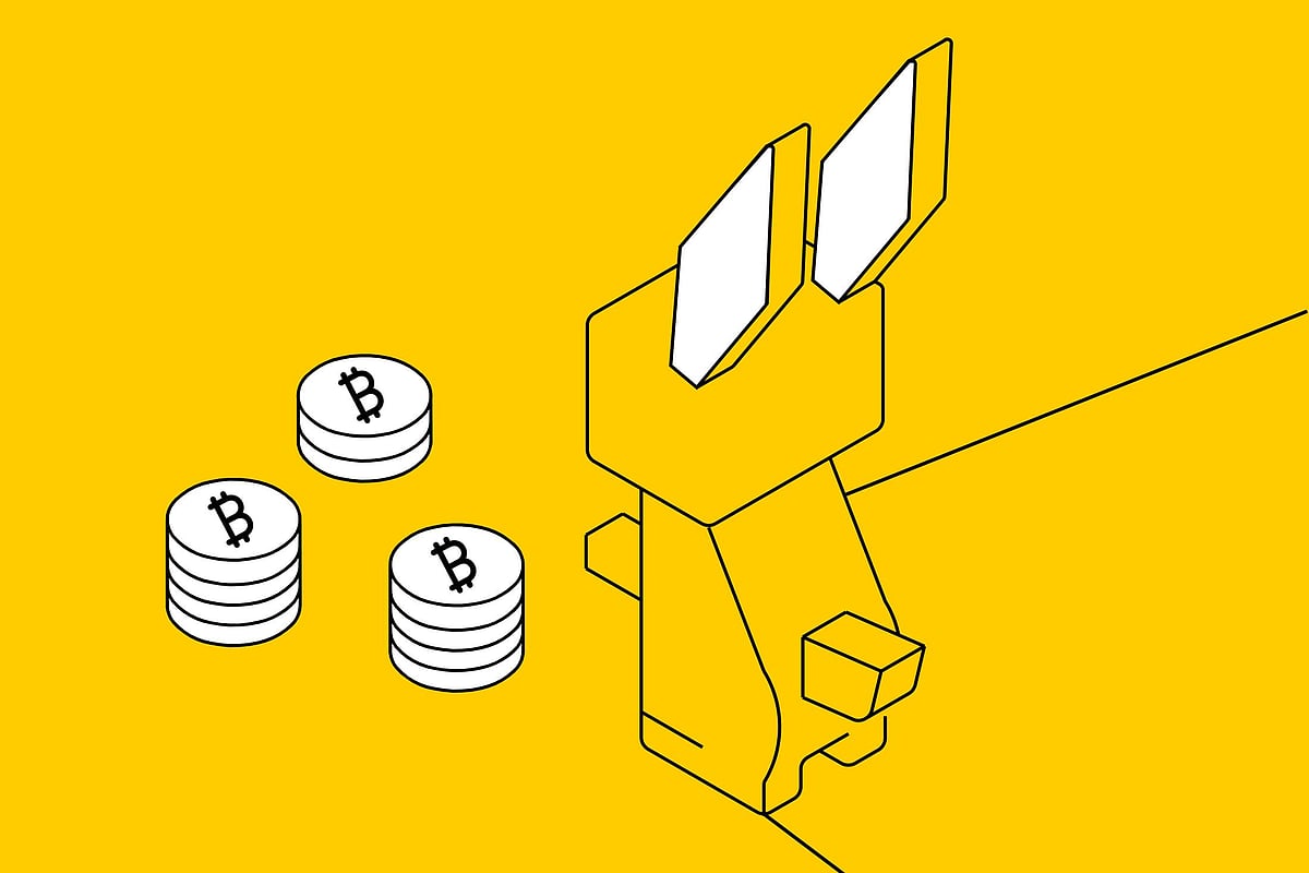 Analysts Expect Bitcoin Holders To Move Off Shiba Inu As Raboo's Buzz Makes Headlines!