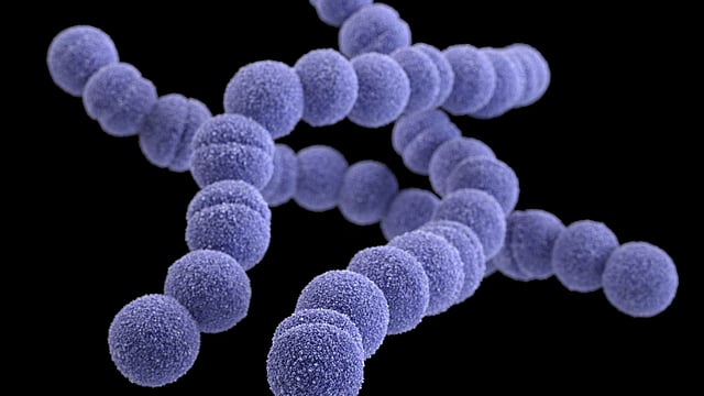 Japan Witnesses Surge In Cases Of Disease Caused By Rare 'Flesh-Eating Bacteria' That Can Kill Under 48 Hours