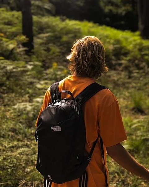 The North Face