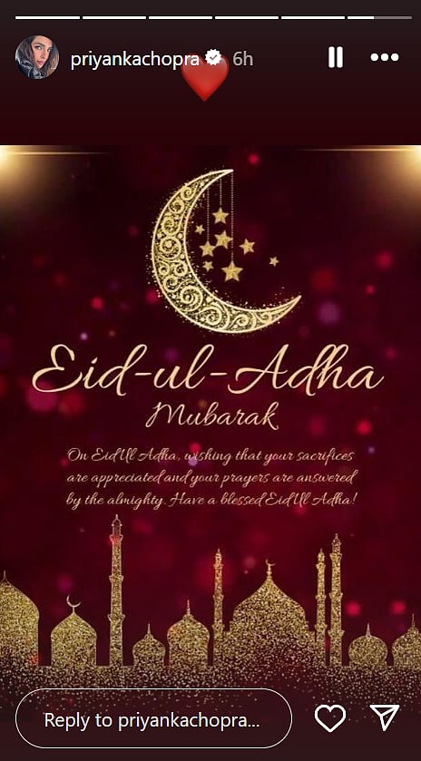 Priyanka Chopra on Instagram Stories