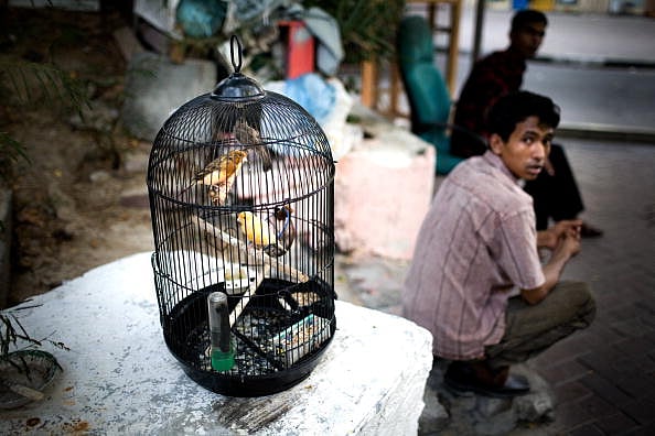 Getty Images : Migrant workers and pet canaries in a cage July 19, 2008 on the streets in Dubai