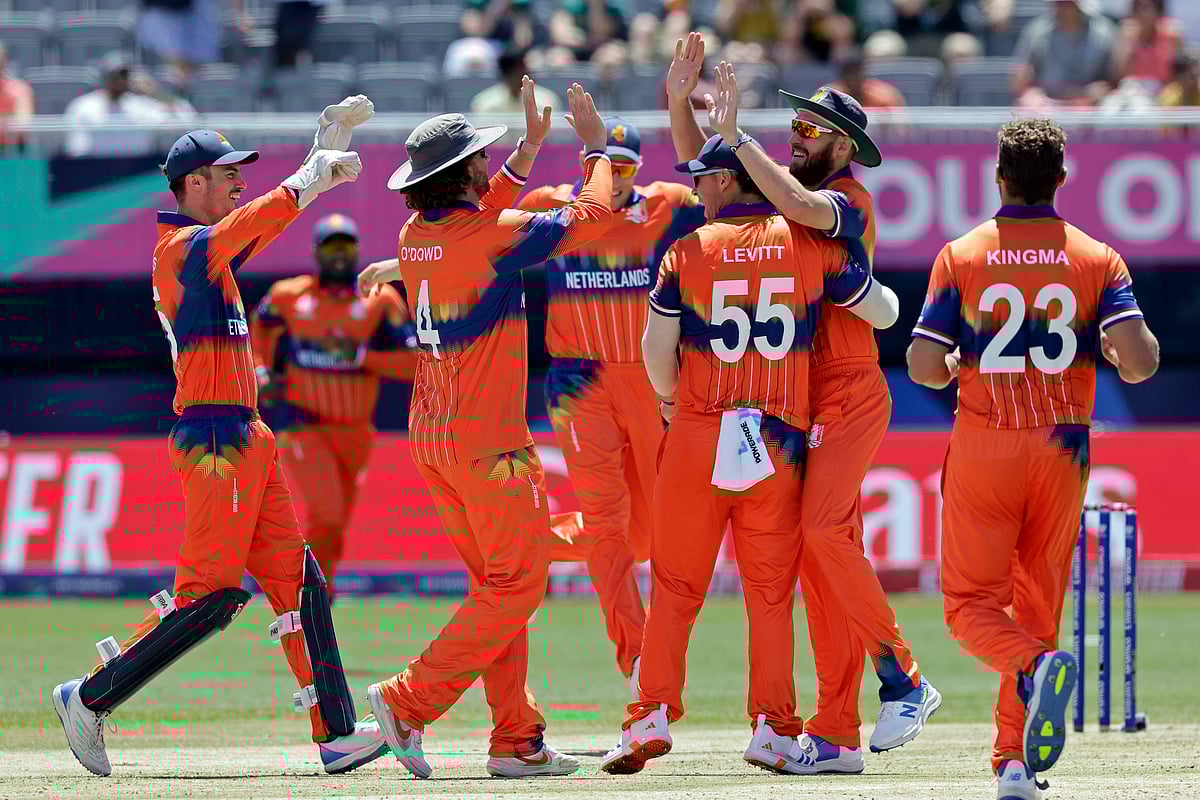 AP / Adam Hunger : Netherlands celebrate their win over Nepal in the 2024 ICC T20 World Cup. 