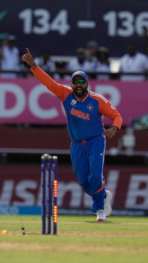 India's T20 World Cup