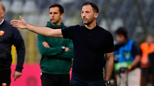 Belgium At UEFA Euro: 'It's All About Group Spirit' - Tedesco After Sticking With 25-Man Squad
