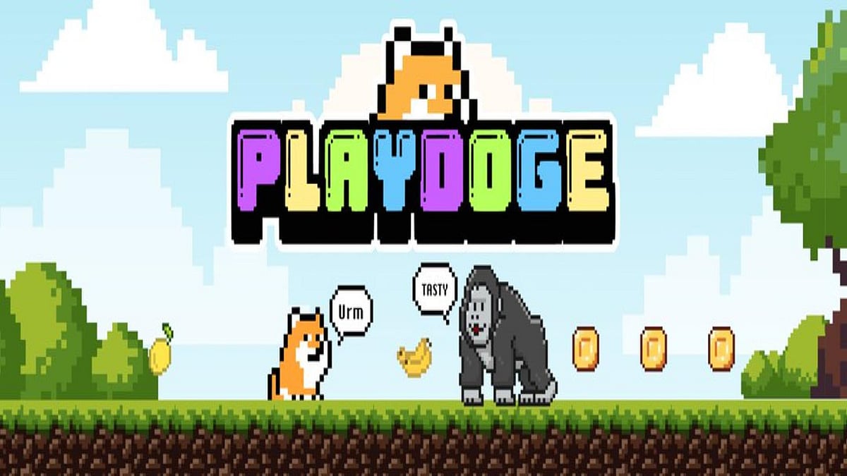 PlayDoge ($PLAY)