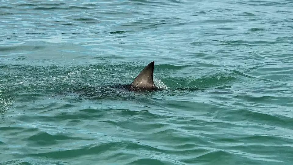 Representative image - X