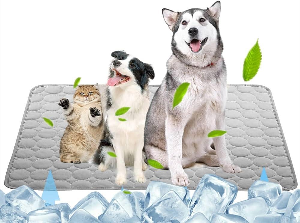 Beat The Heat! Best Cooling Mats For Pets In 2024