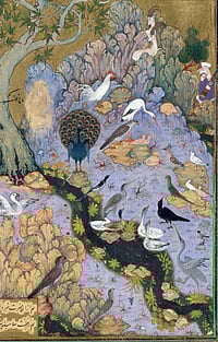 Farid-ud-Din Attar Epic And The Modern Quest For Belonging