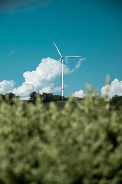 5 Fun And Simple Ways To Live Sustainably