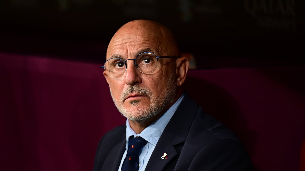 Luis de la Fuente praised Spain's performance against France