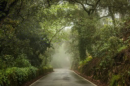 A Poetic Journey Through Memory, Magic, And Morning