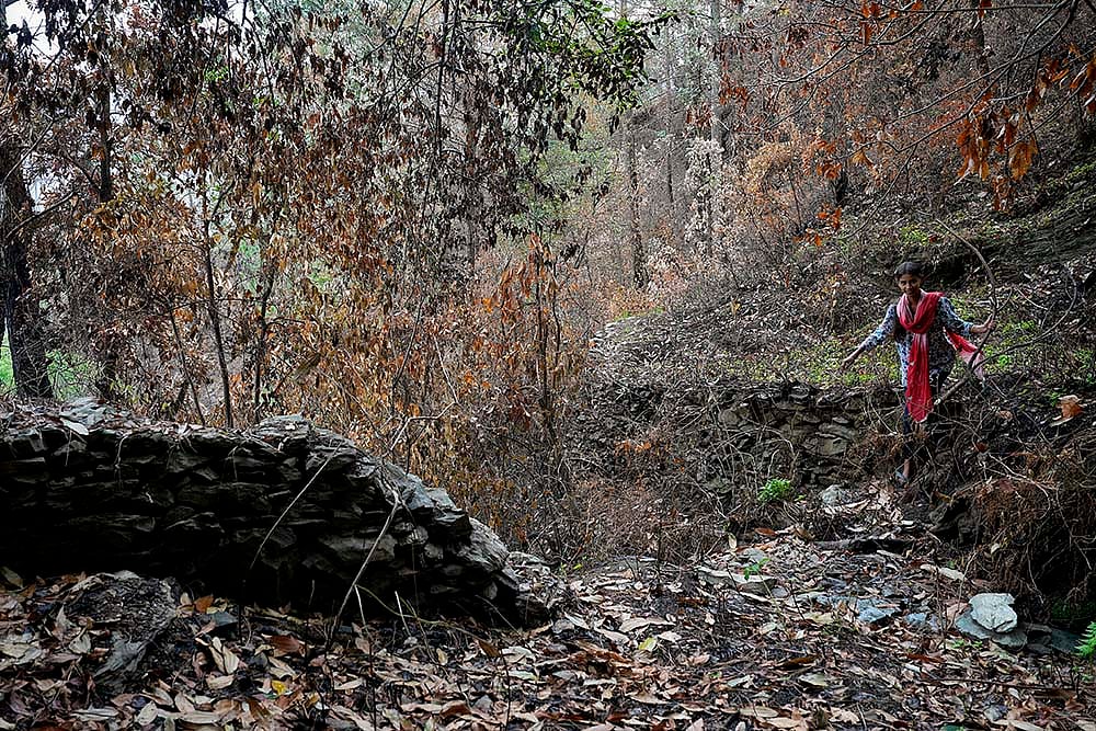 Remains after the forest fire in Pauri