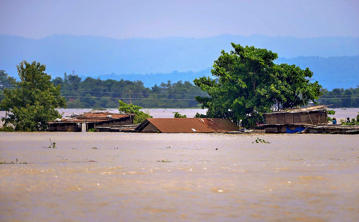 PTI : At present, the mighty Brahmaputra is flowing above the danger marks at Nimatighat, Tezpur, Guwahati, Goalpara and Dhubri. 