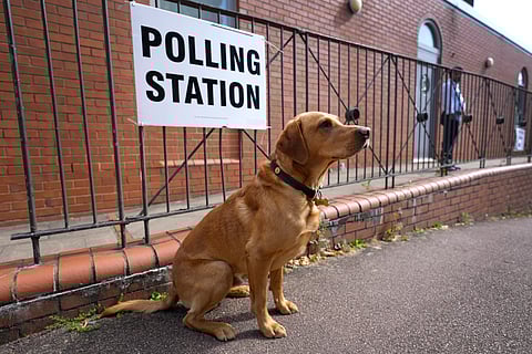 The pet patiently waits for its parents to cast their votes.