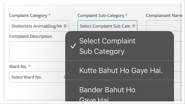 'Kutta Pagal Ho Gaya Hai': Jaipur Municipal Corporation's Website Goes Viral For Its Relatable Hinglish Complaint Options