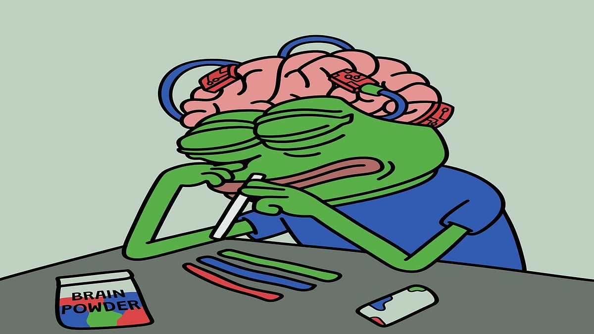 Meme Coin Market Dips Below $35B - Emerging Projects Now In Focus