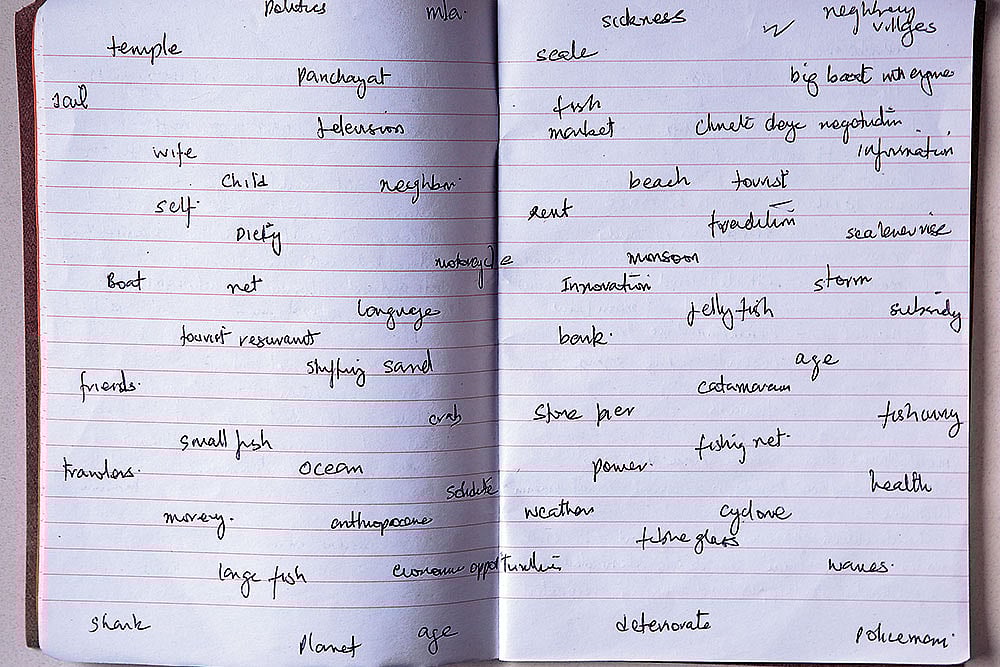 Artwork by Ravi Agarwal : Artist Diary (2013-2016) 