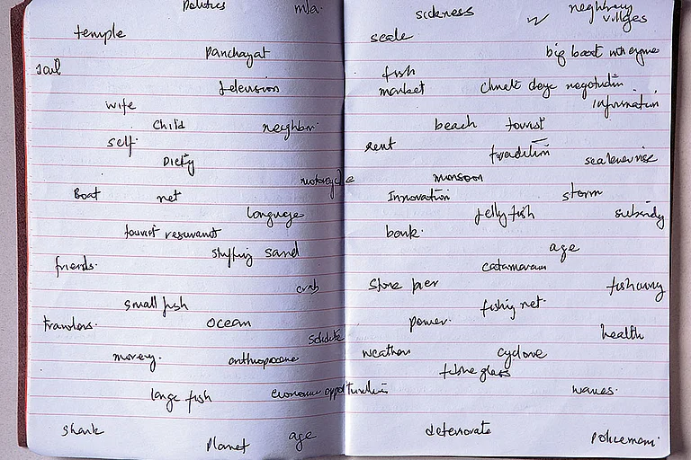 Artist Diary (2013-2016)  - Artwork by Ravi Agarwal