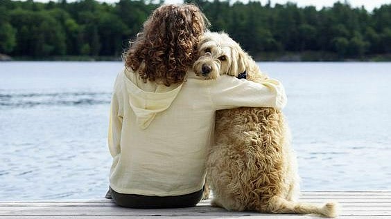 Your Mood Can Affect Your Dog's Mood As Well, New Study Reveals 