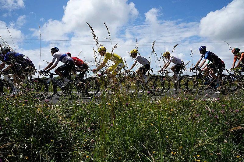 Eleventh stage of the Tour de France cycling race photo gallery_8