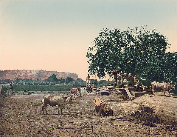 Getty Images : Local people with their cattle at a well in Gwalior Fort near Gwalior, Madhya Pradesh, India, circa 1900. Vintage colour photochrom.