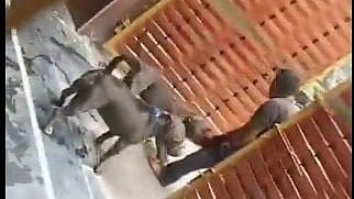 X/ @Incognito_qfs : Pitbulls attacked delivery person in Chhattisgarh's Raipur