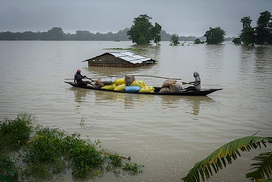 Assam: People, Animals Suffer Alike In Aftermath Of Floods & Landslides | In Photos