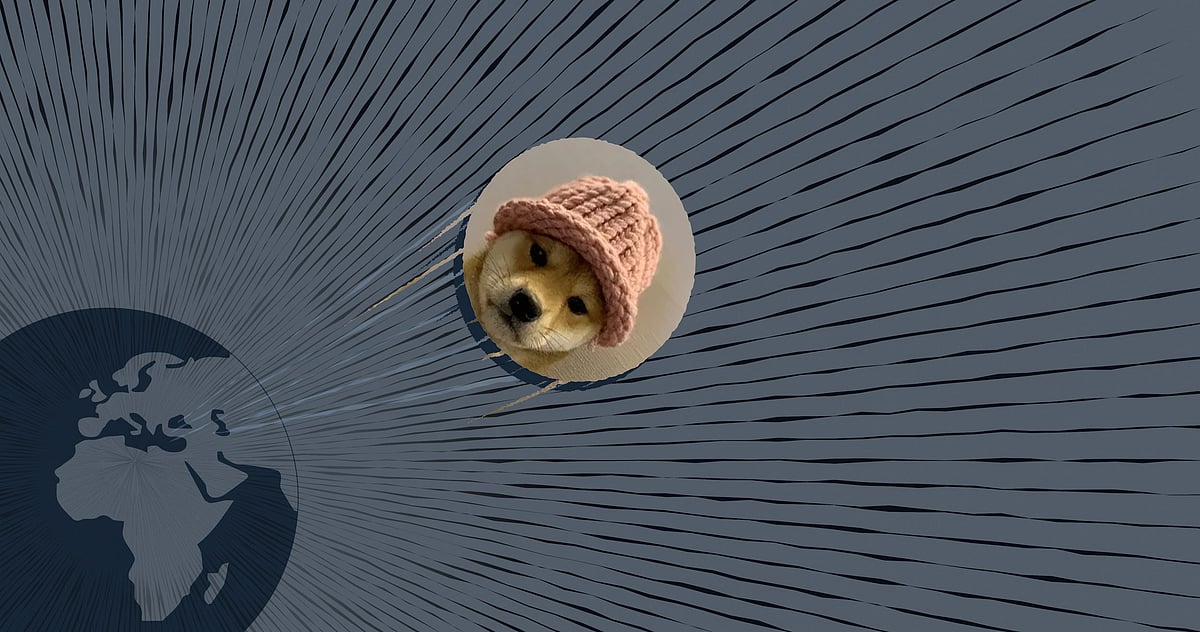 Dogwifhat Soars Alongside Floki, Meanwhile New Meme Coin KangaMoon Prepares For Surge Following Presale Success