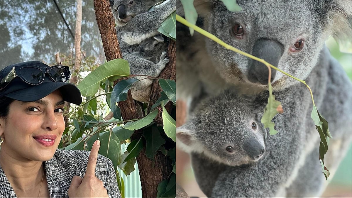 Instagram : Priyanka Chopra in Australia