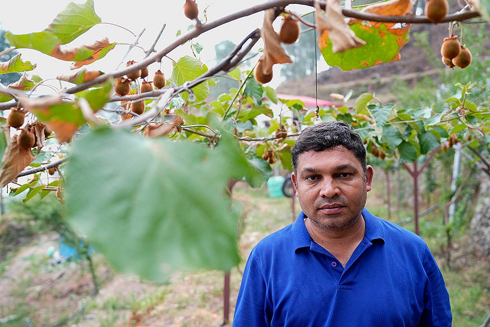 Kiwi farmer, Deepak Nautiyal, at Banjwari village in Pauri