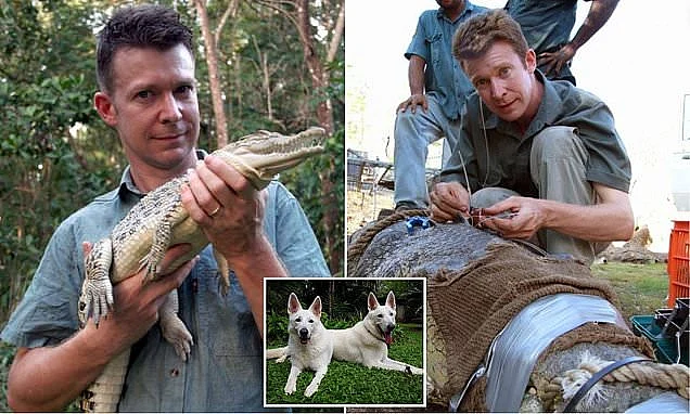 British crocodile expert Adam Britton dog sexual abuse