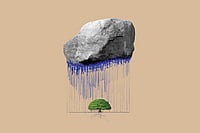 Colour Coding India's Religious Landscape  Illustration: Vikas Thakur