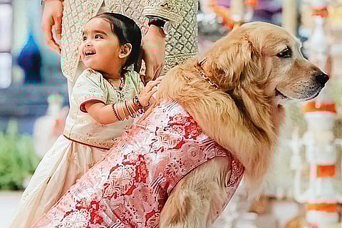 Happy, the Ambani family dog