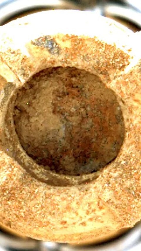 The rock sample from Mars' 'Cheyava Falls' |