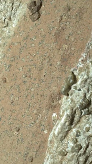 'Leopard spots' on a reddish rock named Cheyava Falls on Mars |