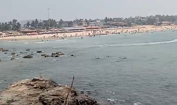 BAGA BEACH GOA DELHI TOURIST MURDER