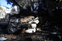 Photo: AP