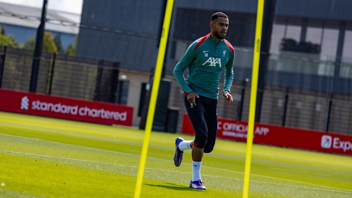 Cody Gakpo-Euro 2024-Premier League