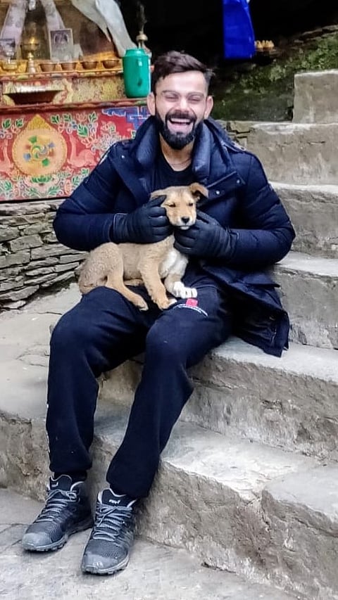 Virat Kohli's journey to Veganism