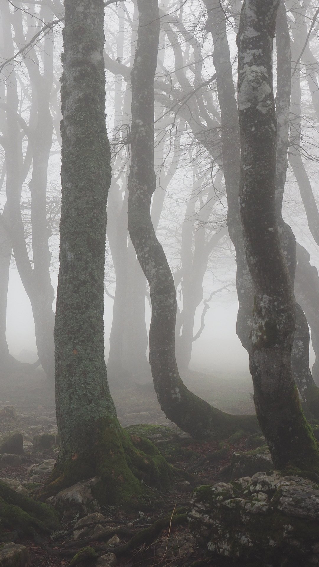 | Photo: Canva : 10 'Most Haunted' Objects, Artifacts Of The World