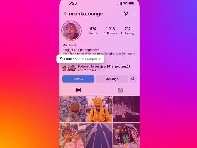Instagram Music On Profile